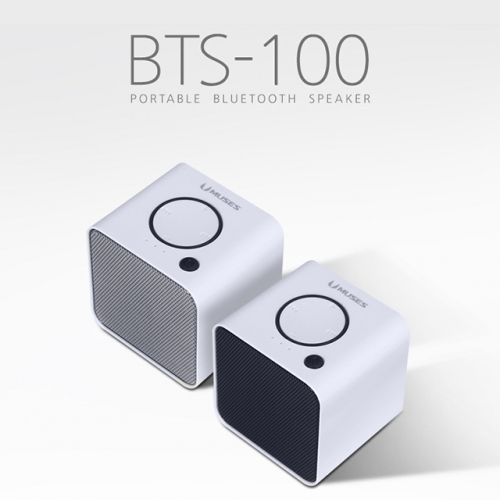 블루투스 스피커 휴대용 스피커 BTS-100