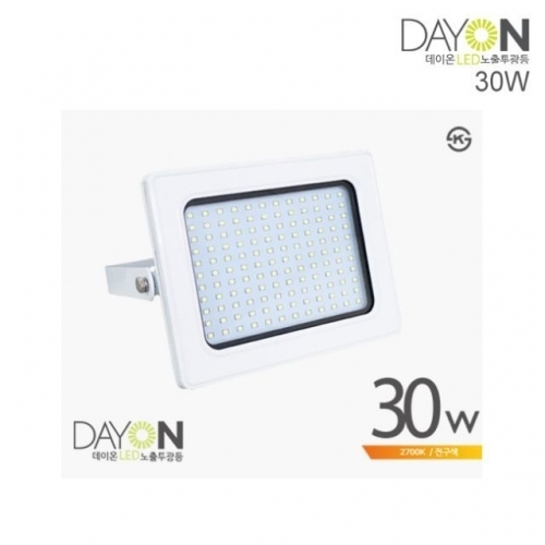 CJ/ DAYON LED 노출투광등 30W 전구색 (2700K) 백색