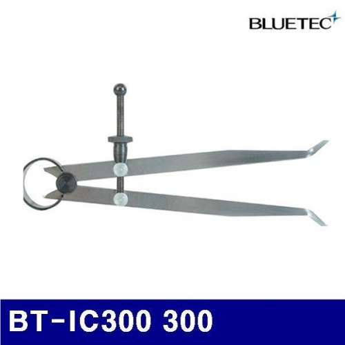 블루텍 4010449 내경파스 BT-IC300 300 (1EA)