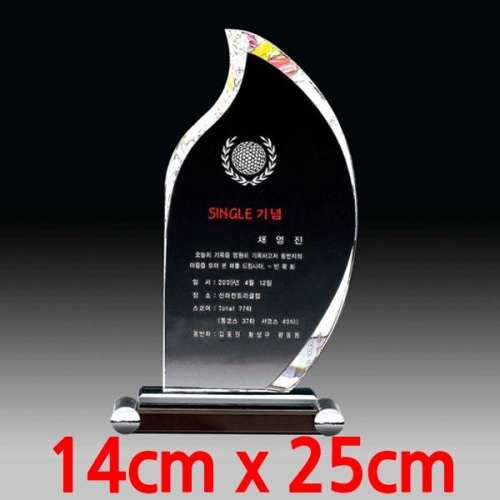 크리스탈 상패(TP836) 14x25cm