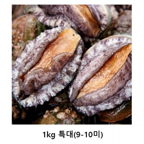 완도양식장 활전복 1kg 특대(9-10미)