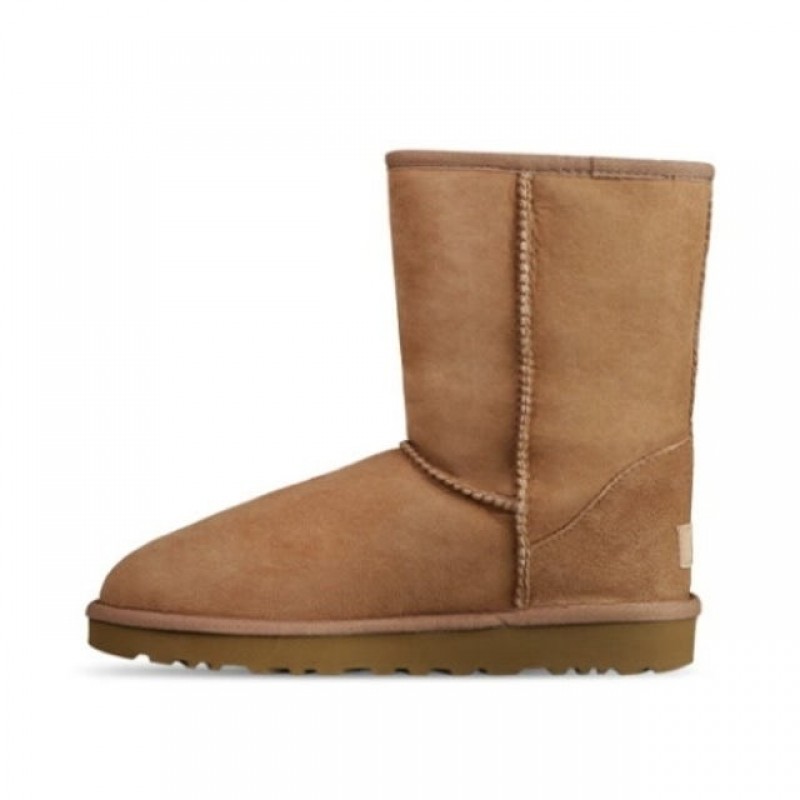 어그 클래식 숏 II 1016223